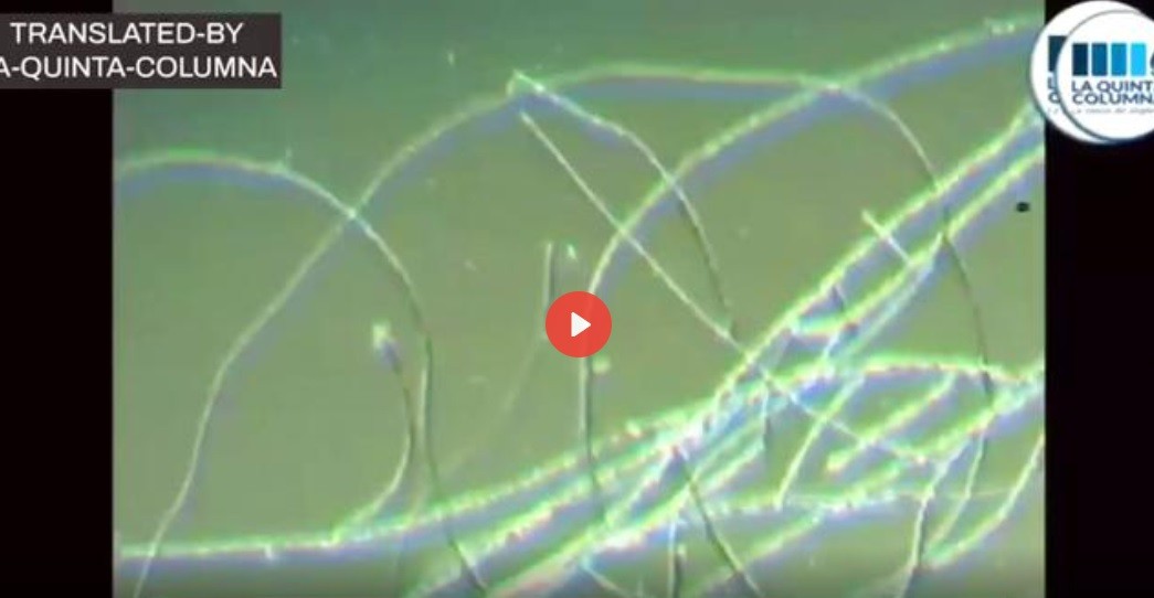 ONE SINGLE DROP OF PFIZER ‘VACCINE’ / GRAPHENE SELF ASSEMBLY / ONE MINUTE REVIEW (La Quinta Columna) – Trusted Source