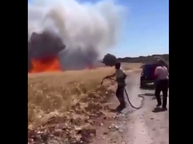 Food crisis: Someone lit 7 different fields of wheat at the same time – World-Signals News