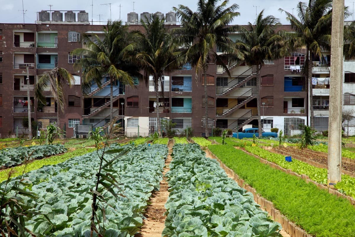 Cuba's sustainable farming movement
