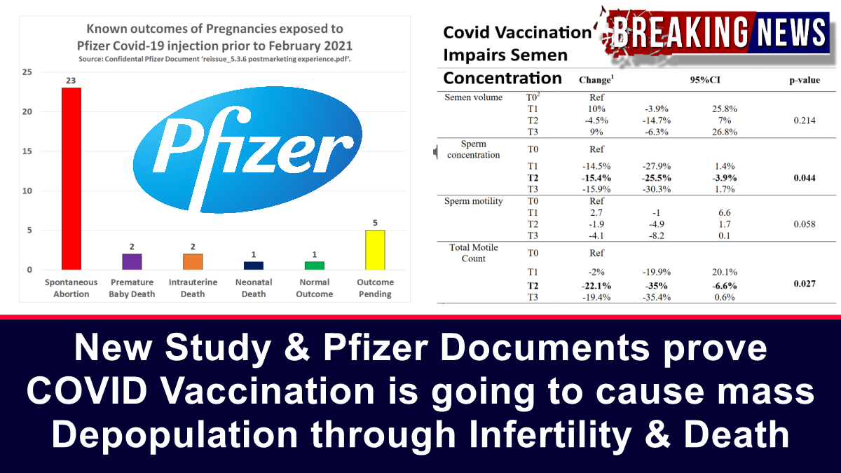 New Study & Pfizer Documents prove Covid-19 Vaccination is going to cause mass Depopulation through Infertility & Death – The Expose