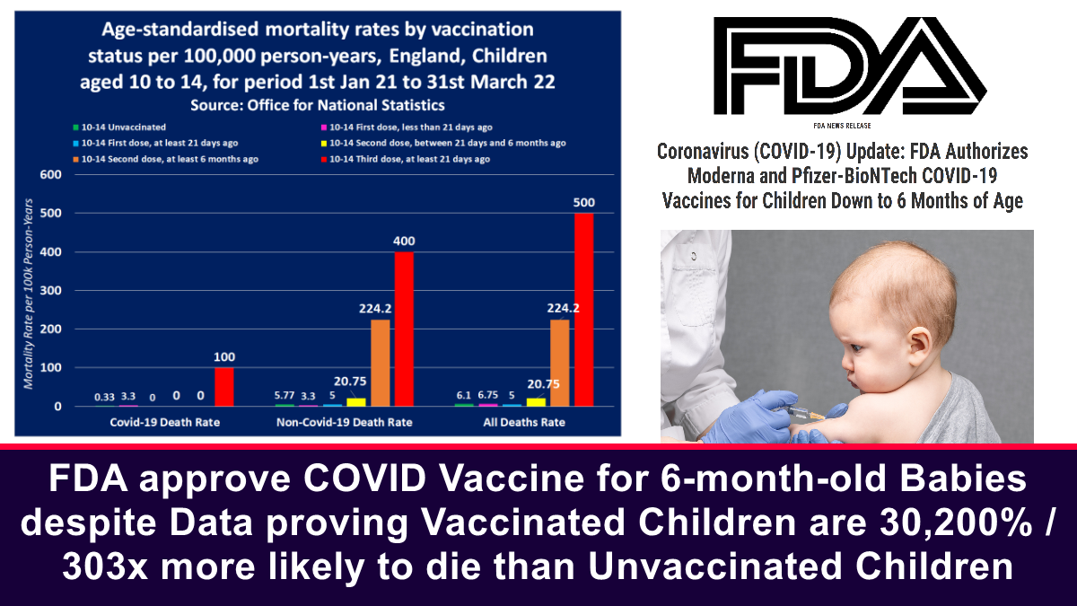 FDA approve COVID Vaccine for 6-month-old Babies despite Data proving Vaccinated Children are 30,200%/303x more likely to die than Unvaccinated Children – The Expose
