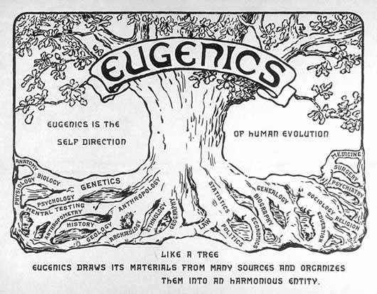 The Horrifying American Roots of Nazi Eugenics - Global ResearchGlobal Research - Centre for Research on Globalization