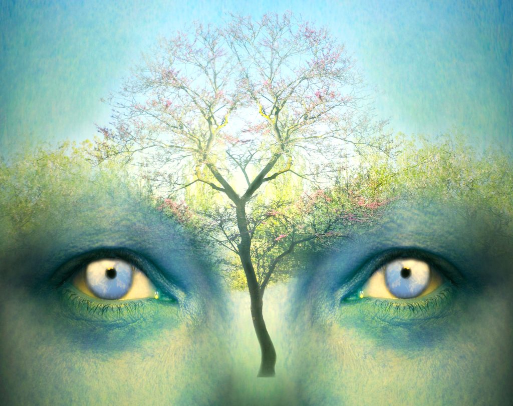 The Art Of Divine Intelligence Over The Imitation of AI | Annie Horkan