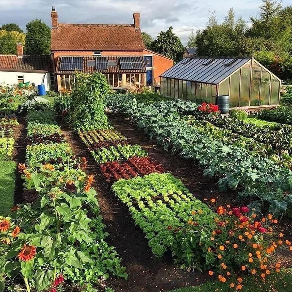 Dachas vs. Lawns – Look through your window to see the solution to the food and price crisis – Europe Renaissance