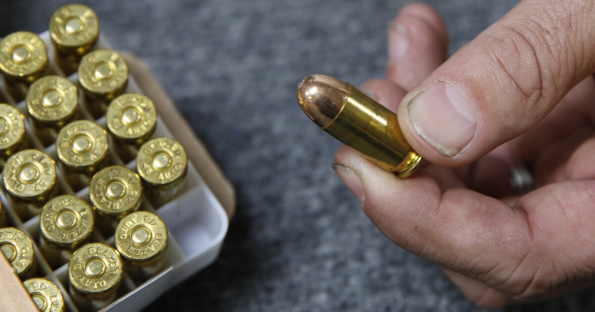 Boom: 21M guns sold in 2020, up 60%, women, blacks top buyers | Washington Examiner