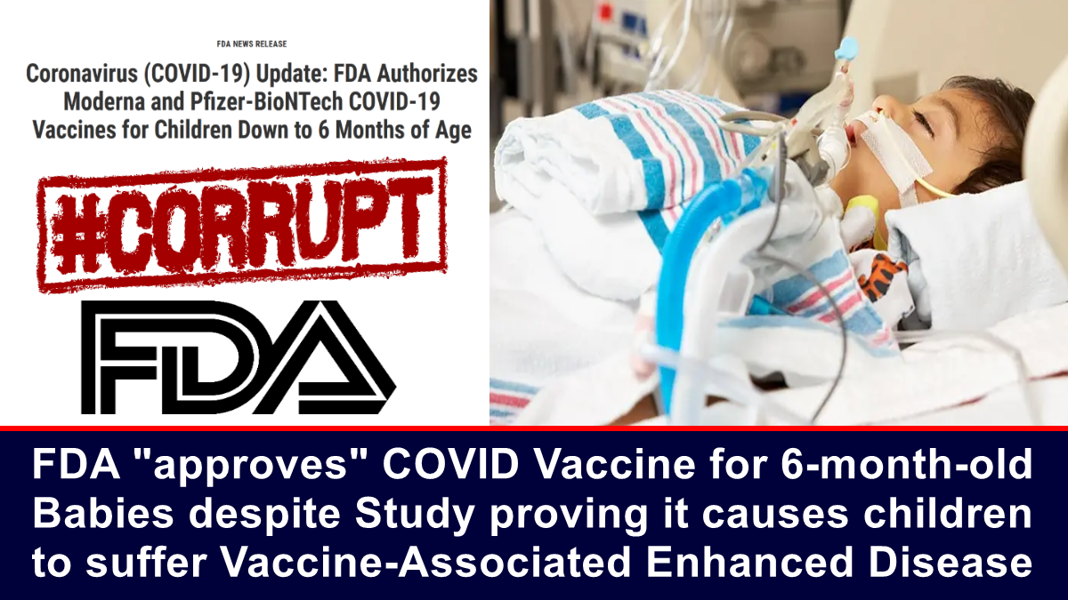 FDA “approves” COVID Vaccine for 6-month-old Babies despite Study proving it causes Children to suffer Vaccine-Associated Enhanced Disease – The Expose
