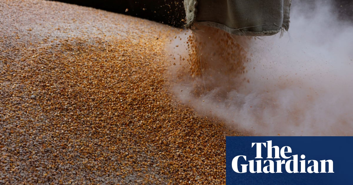 Russia and the west compete to secure safe passage for Ukraine’s grain  | Ukraine | The Guardian