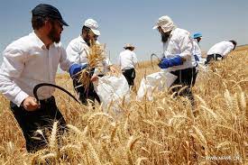 Israel has begun preparing measures to prevent famine – World-Signals News