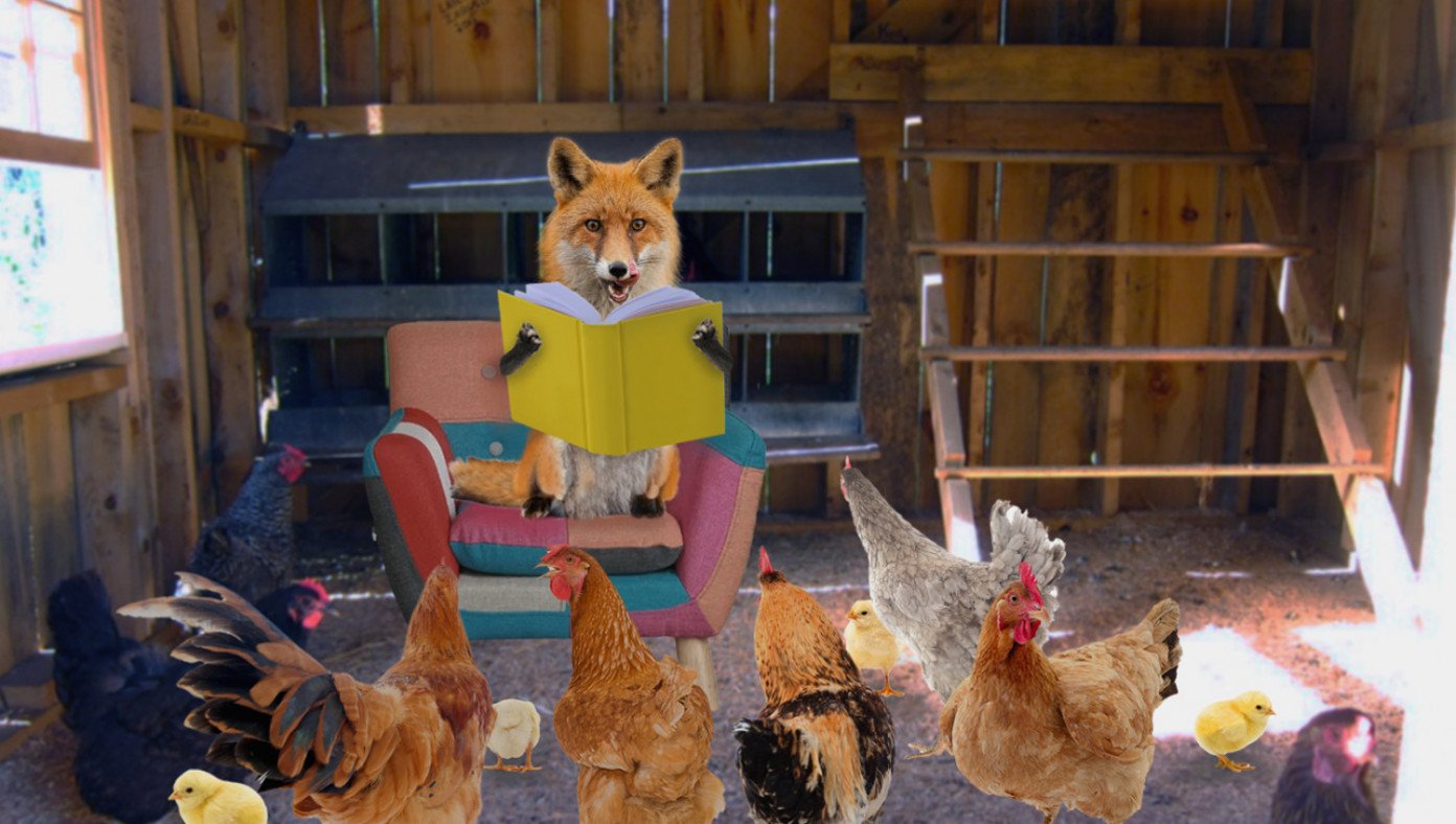 Chickens Hold Controversial 'Fox Story Hour' In Chicken Coop | The Babylon Bee