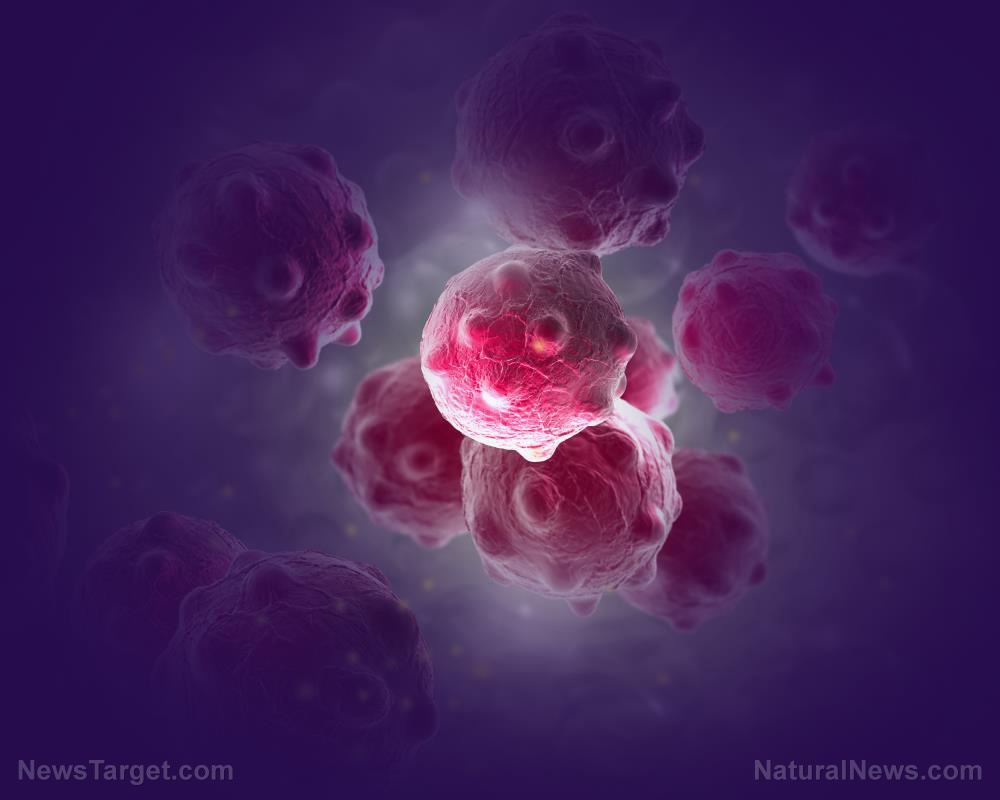 A company from BigPharma announced that it has found a cure for cancer – World-Signals News