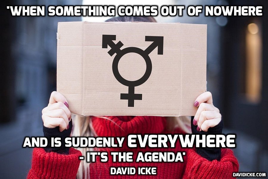 Girl Guides bosses are accused of peddling ‘claptrap’ with glossary of 100 gender and sexuality terms – David Icke