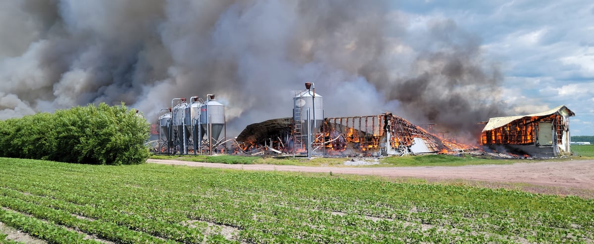 Incendie majeur à Saint-Hyacinthe: plus de 1000 porcs seraient morts | JDM