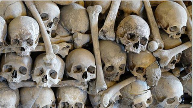 THERE HAS BEEN A MASSIVE INCREASE IN DEATHS ACROSS THE BOARD FROM ALL CAUSES