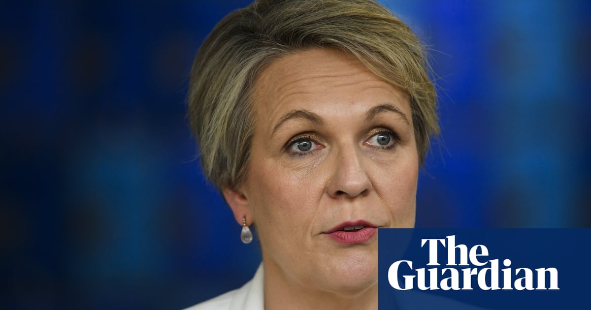 Labor faces decisions on approval of up to 27 coal developments including greenfield mines | Climate crisis | The Guardian