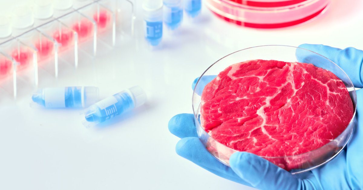 Meat from a lab comes again from killing animals, painful for them – World-Signals News