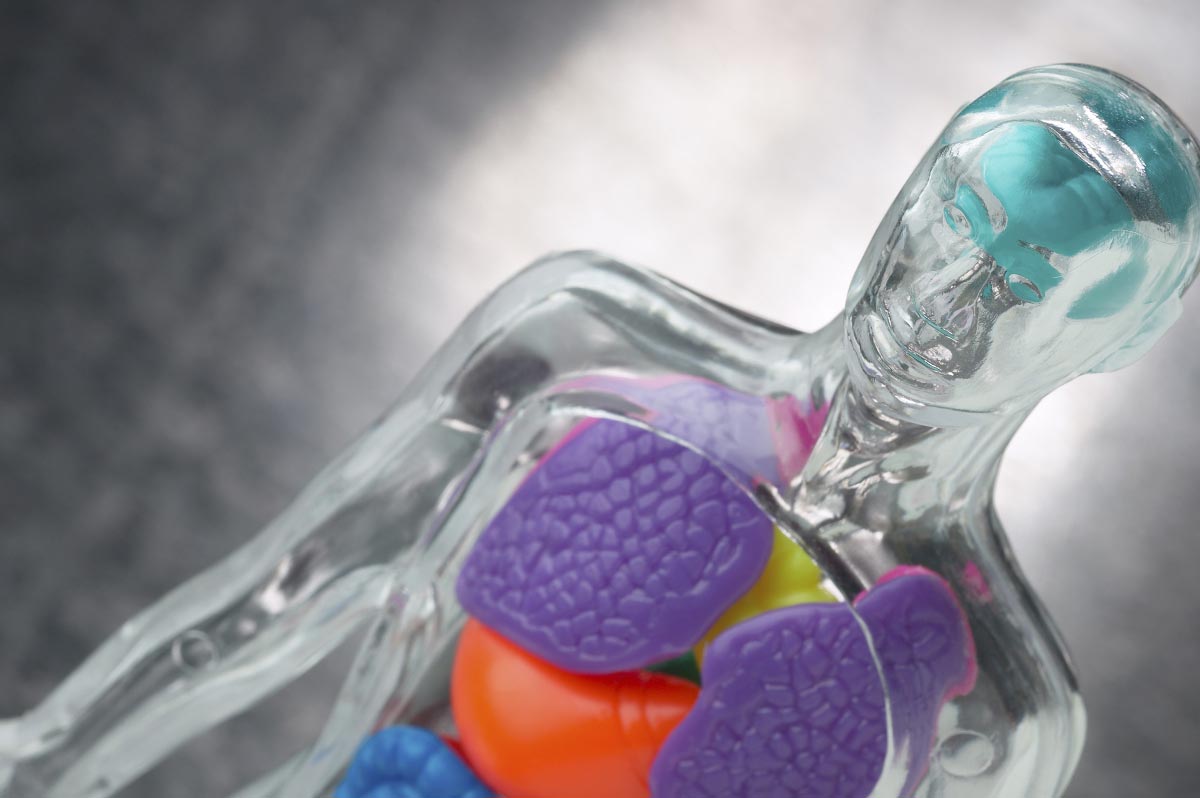 Black market for body parts exists in America… funeral home operator just charged in criminal scheme – NaturalNews.com