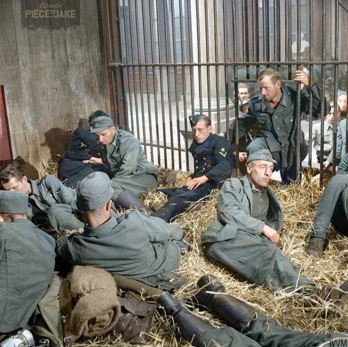 British forced surrendering German Troops into cages in Belgian Zoos – Europe Renaissance