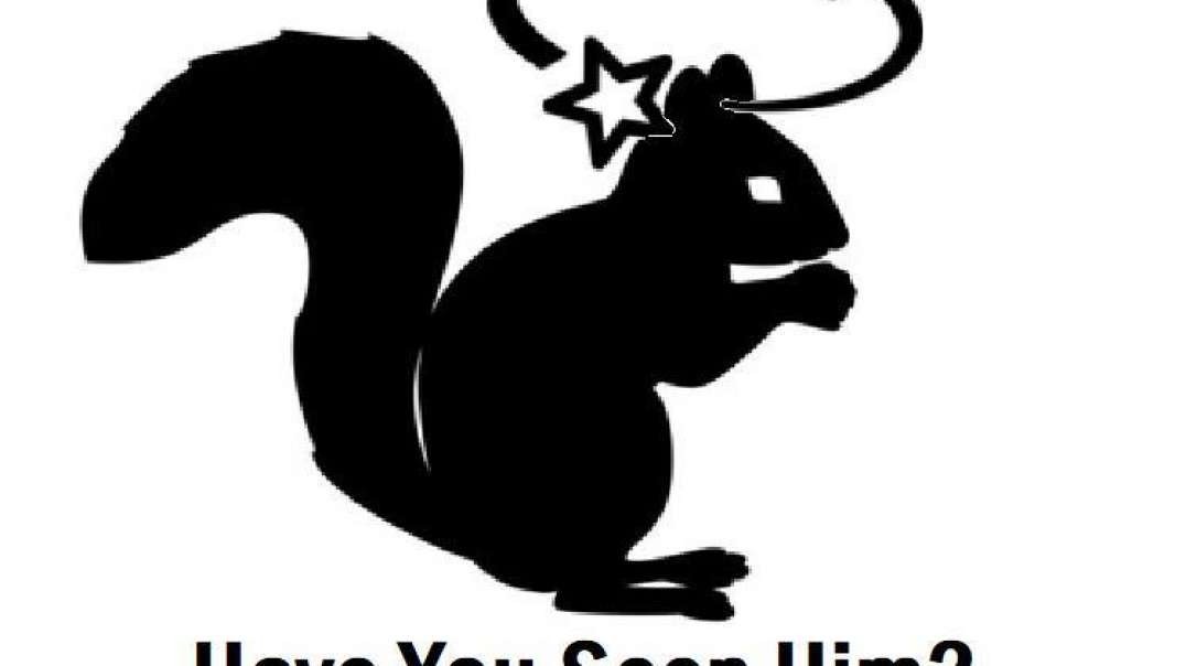 The Spinning Squirrel