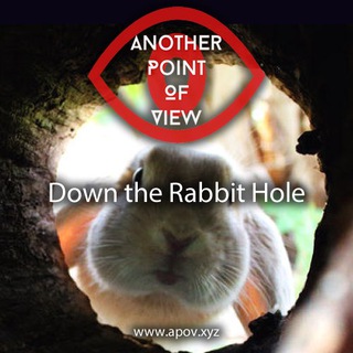 Telegram: Contact @apovrabbithole