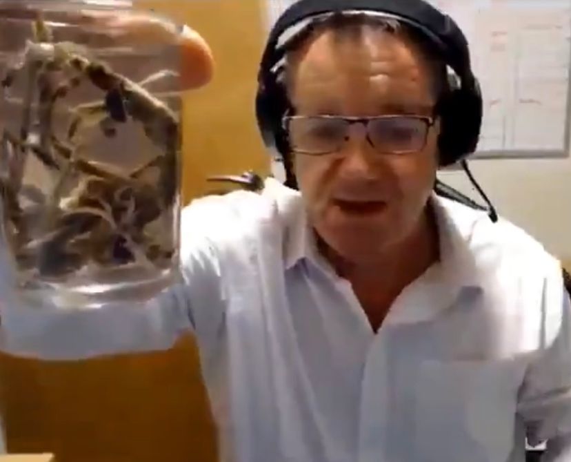 This alien looking thing was pulled out of the body of a dead person who was vaccinated