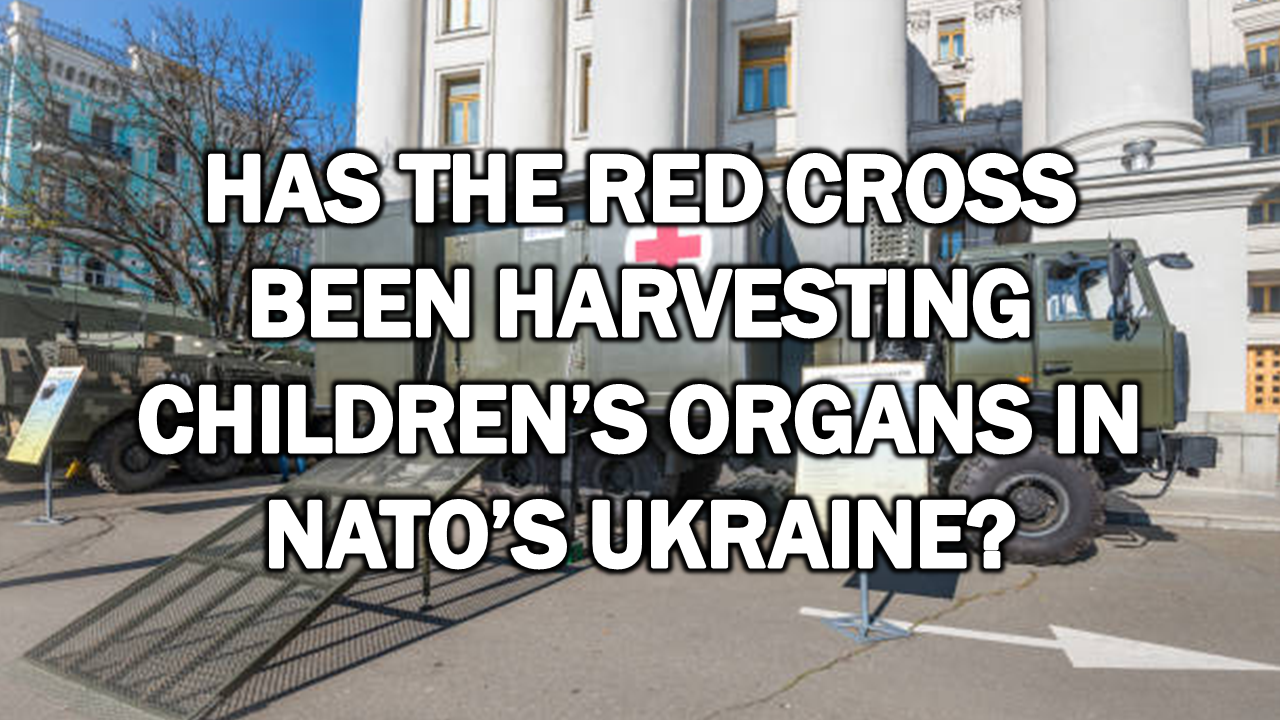 Has the Red Cross Been Harvesting Children’s Organs in NATO’s Ukraine? – The Expose