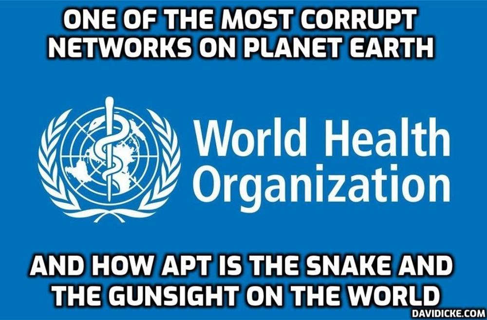 Emerging 'Diseases' Used To Hide Vaccine Injuries & Death - David Icke