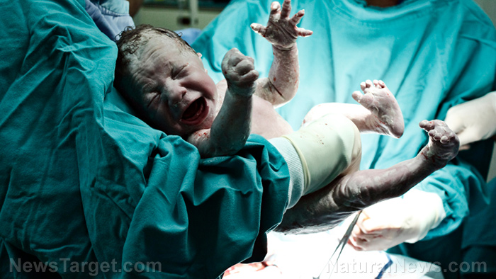 DEPOPULATION TARGETS TAIWAN: Birth rates over the past year have dropped 23% in Taiwan, following blind obedience to covid vaccines – NaturalNews.com