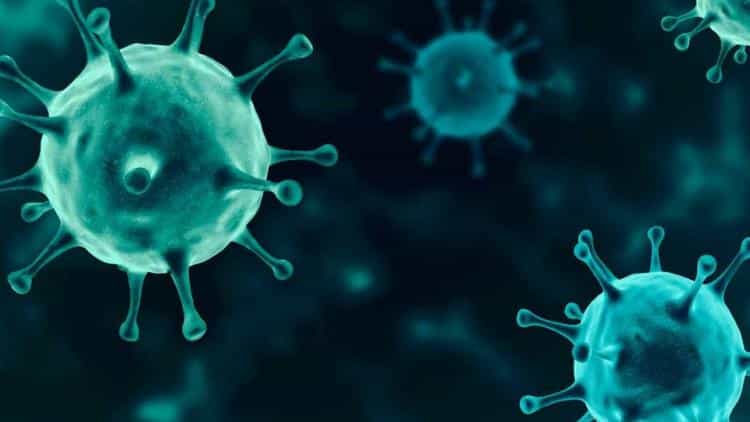 Jeffrey Sachs: Covid-19 may have originated in US biolabs – Veterans Today | Military Foreign Affairs Policy Journal for Clandestine Services