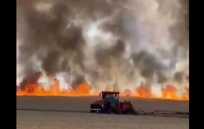 The article they removed: “The benefits of world hunger” – World-Signals News