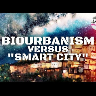 Telegram: Contact @robinmg