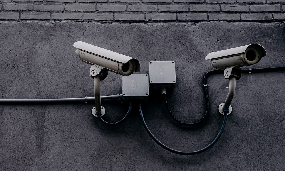 Welcome to 1984 - The Daily Reckoning