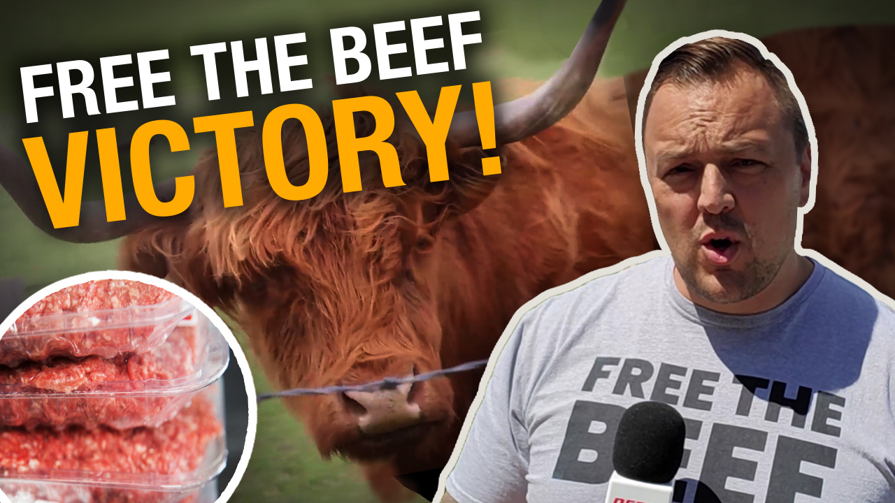 VICTORY: Government backs off plans to put warning labels on ground beef - Rebel News