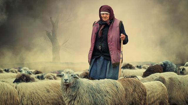 I am my shepherd