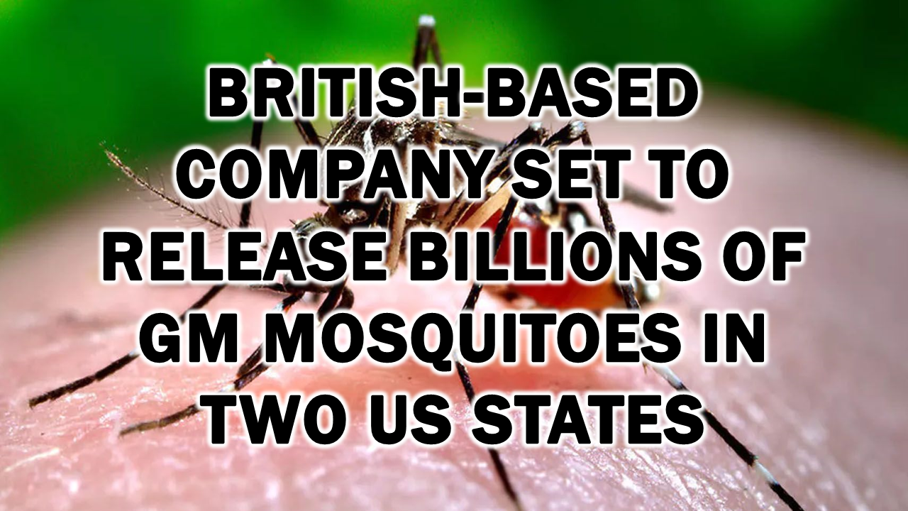 British-based Company Set to Release Billions of GM Mosquitoes in Two US States – The Expose