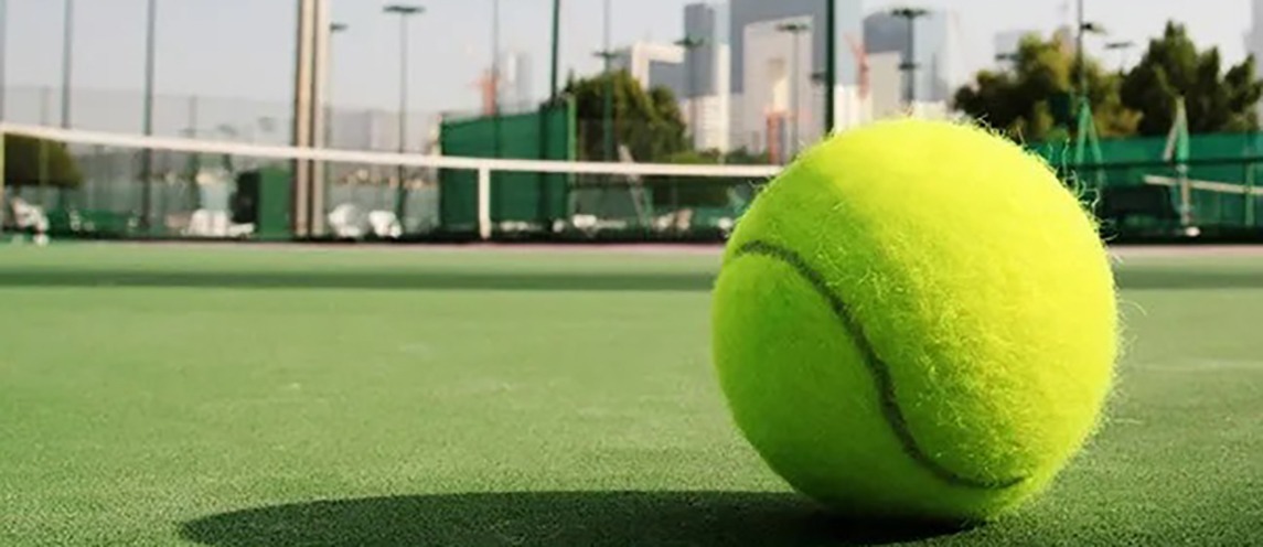 OSMS Turf — Benefits Offered by Top Cricket Turf Manufacturer