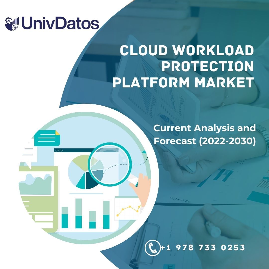 Cloud Workload Protection Platform Market Size and Forecast (2022-2030)