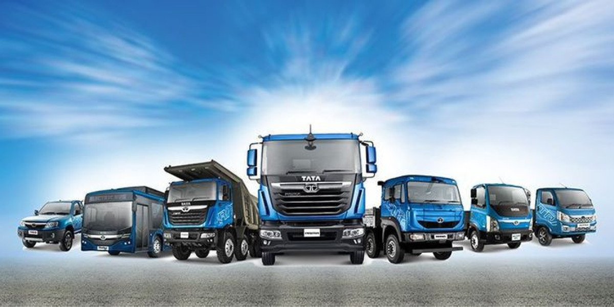 Choosing the right light commercial vehicle for your business needs