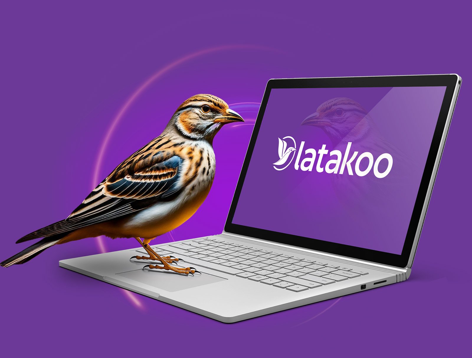 Latakoo | Fast, Secure Video Transfer and Transcoding in the Cloud