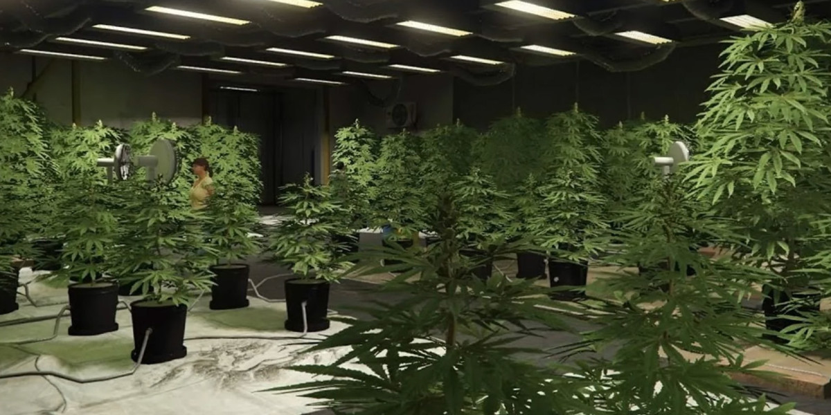 Production Speed Doubled Only for Organic Produce in GTA Online