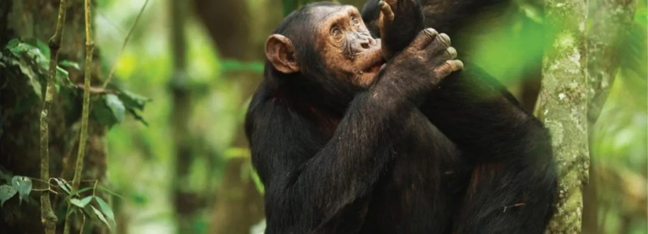 Ethan Johansson Cover Image