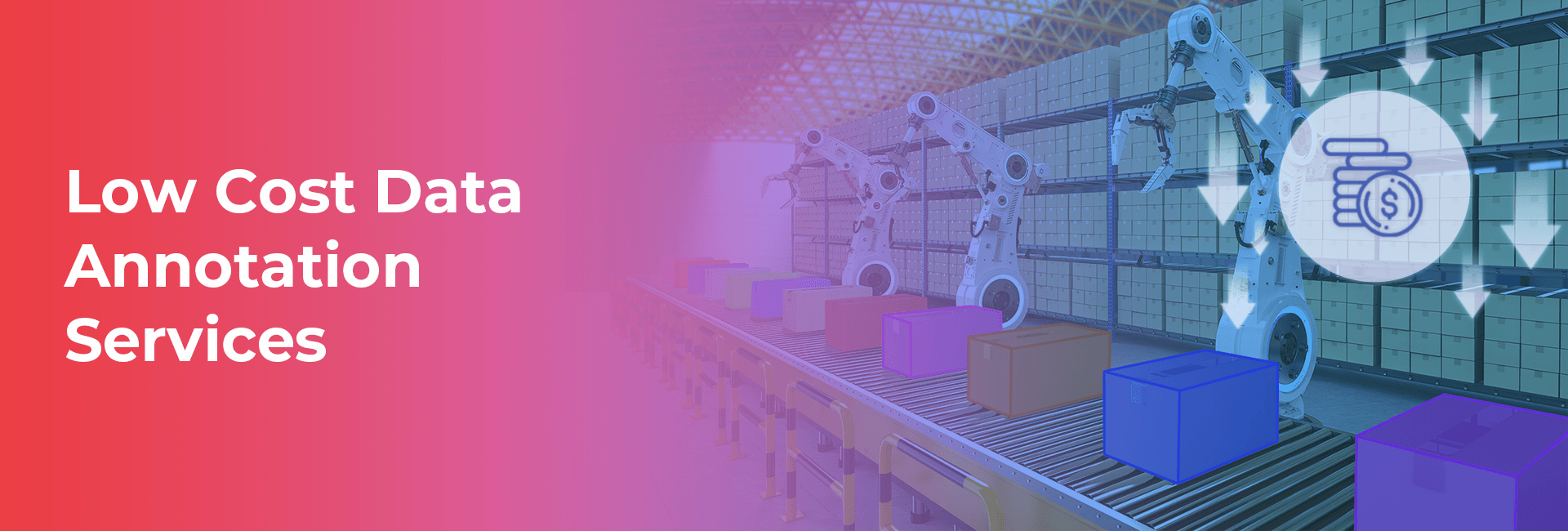 Low Cost Data Annotation services: Saving Today, Losing Tomorrow - Macgence