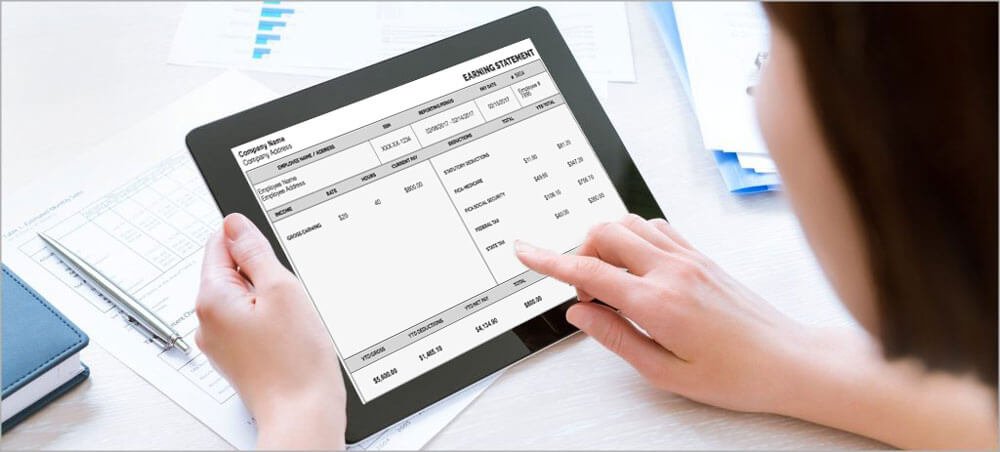 Self Employed Pay Stub | Check Stub for Self Employed With Template